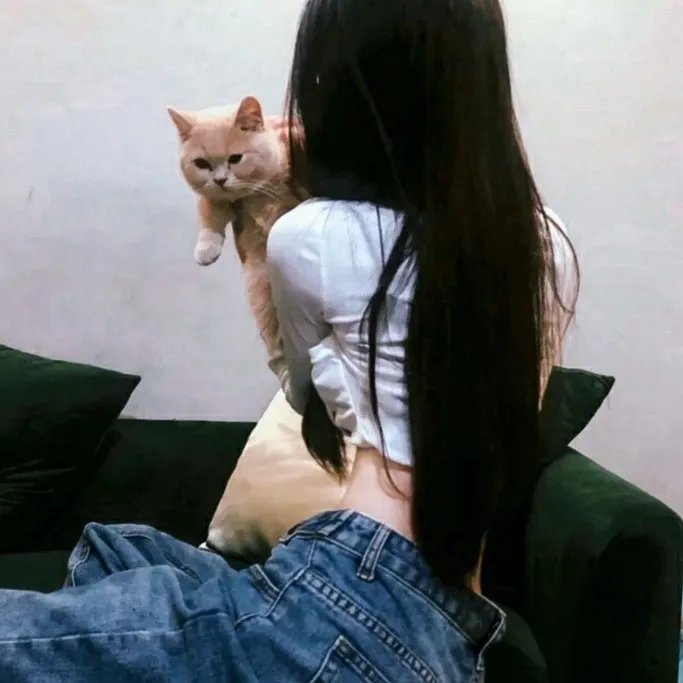完美妻子的完美复仇计划